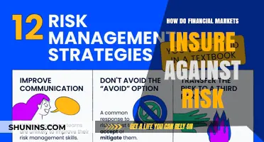 Managing Risk: Financial Markets and Insurance Strategies
