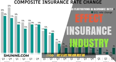 Fluctuating Insurance Rates: Impact on the Insurance Industry
