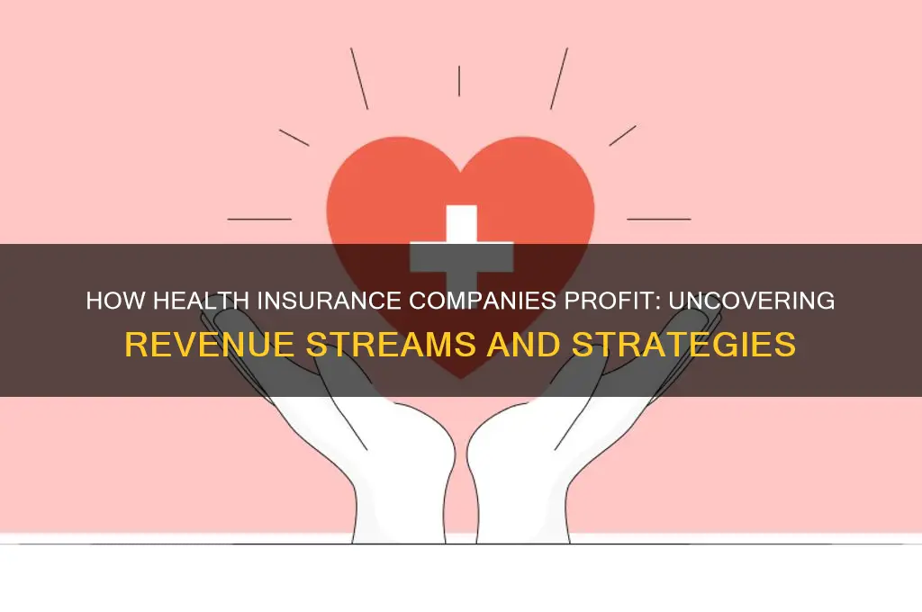 how do health insurance make money