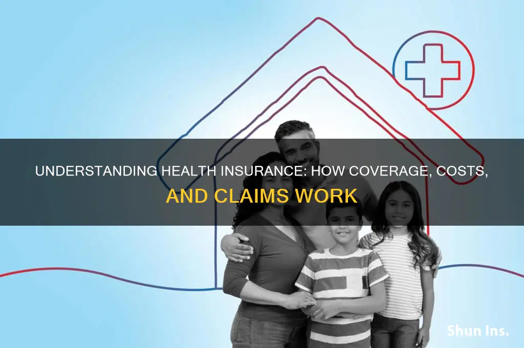 how do health insurance systems workd