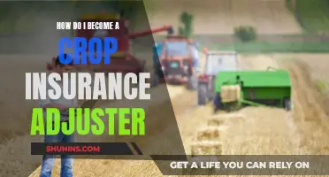 Unraveling the Path to Becoming a Crop Insurance Adjuster