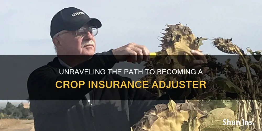 how do I become a crop insurance adjuster