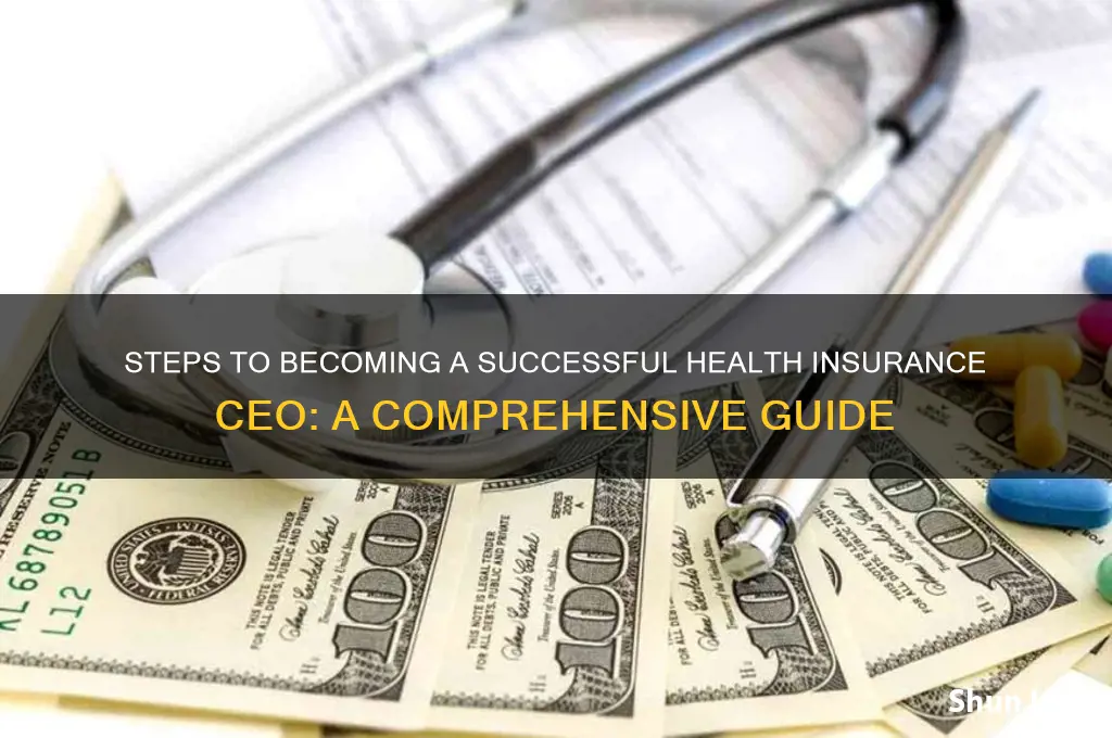 how do i become a health insurance ceo