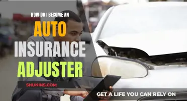 Breaking into the Auto Insurance Adjusting Field: A Step-by-Step Guide