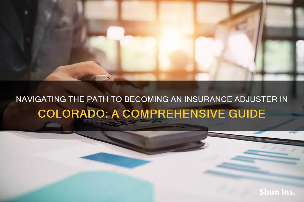 how do I become an insurance adjuster colorado