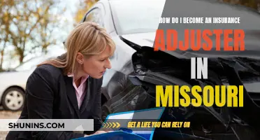 Becoming an Insurance Adjuster in Missouri: A Comprehensive Guide