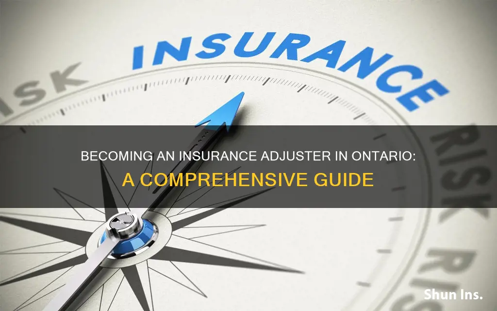 how do I become an insurance adjuster in ontario