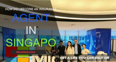 Becoming an Insurance Agent: A Guide for Singaporeans