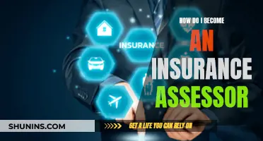 Becoming an Insurance Assessor: A Comprehensive Guide