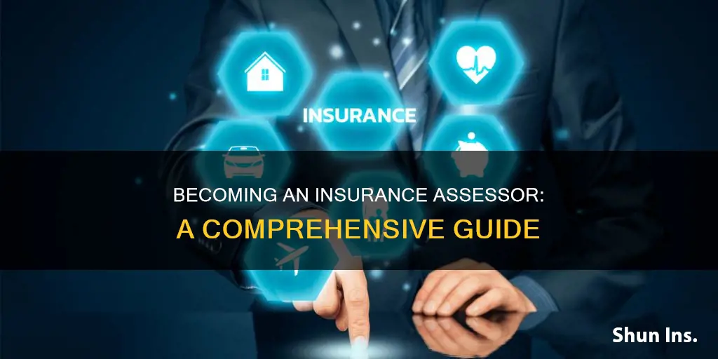 how do I become an insurance assessor