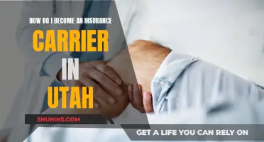 Becoming an Insurance Carrier: Utah Requirements and Steps