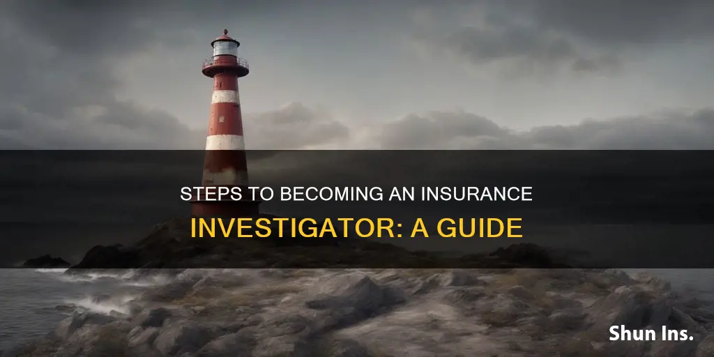 how do I become an insurance investigator