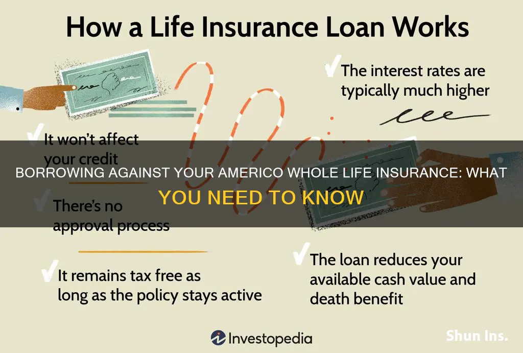 how do I borrow against my americo whole life insurance