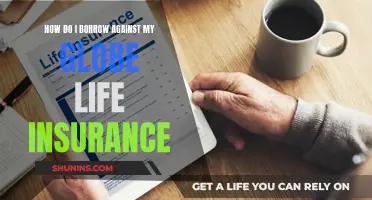 Borrowing Against Your Globe Life Insurance: What You Need to Know