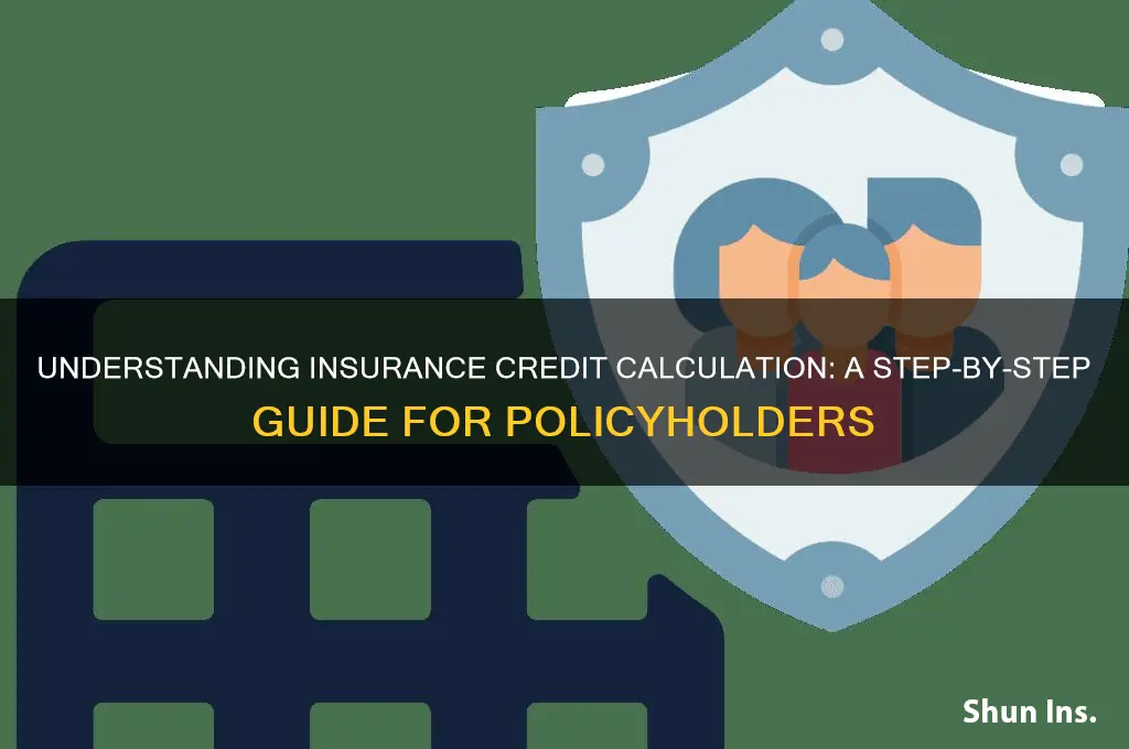 how do i calculate my insurance credit