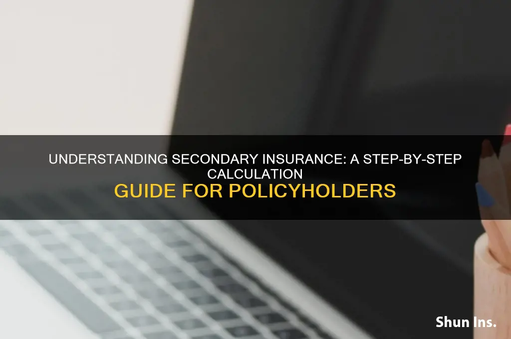 how do i calculate secondary insurance