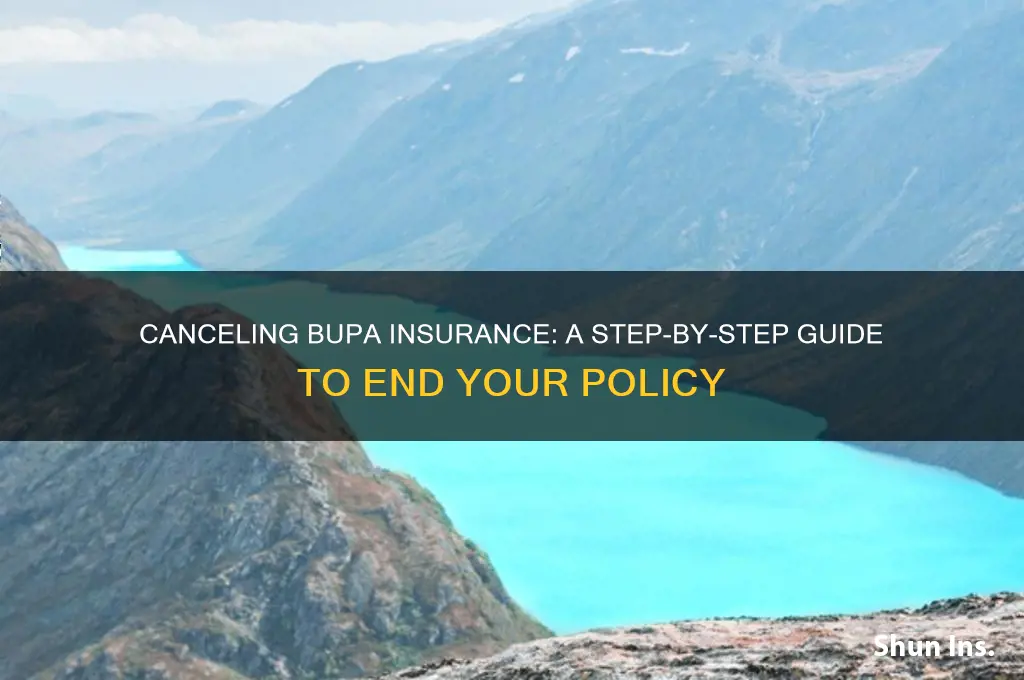 how do i cancle bupa insurance