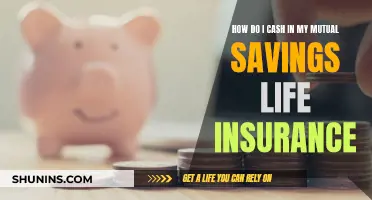 Cashing in on Mutual Savings: Life Insurance Options