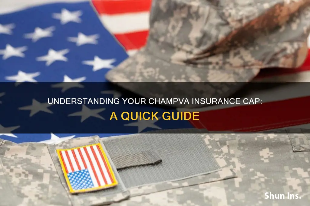 how do I check my champva insurance cap