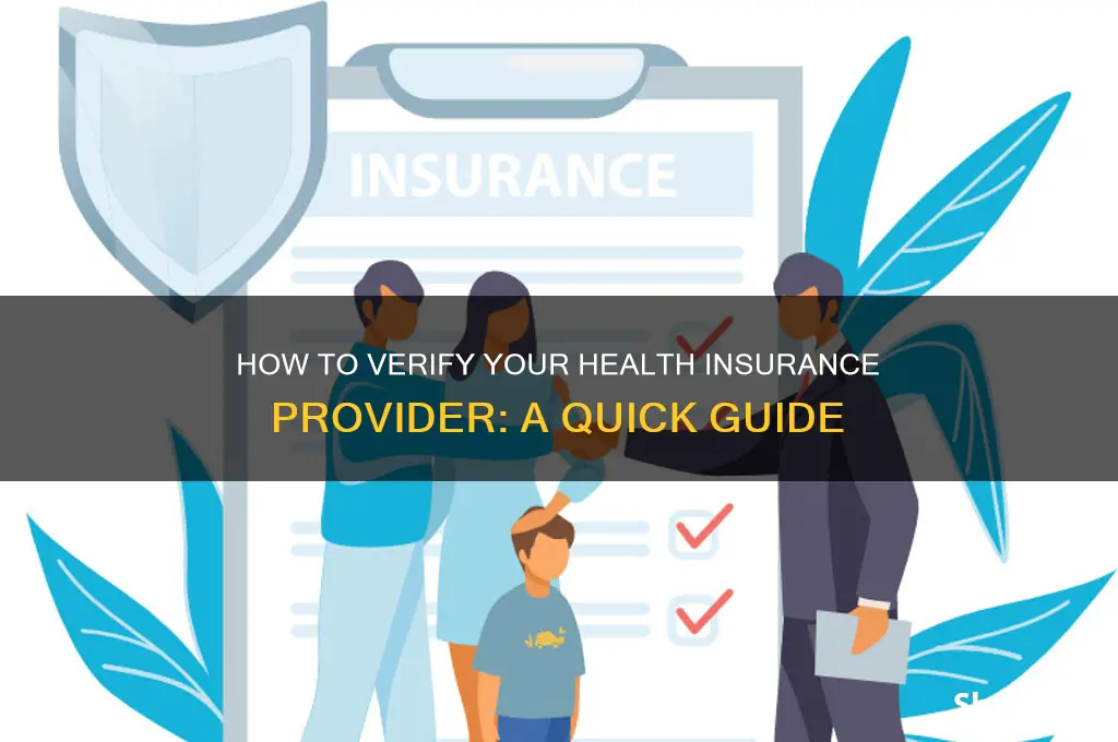 how do i check my health insurance provider