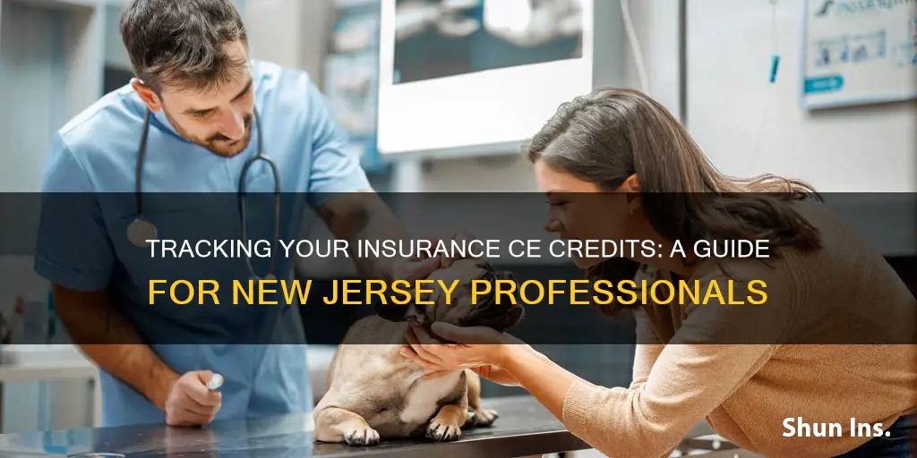 how do I check my insurance ce credits in nj