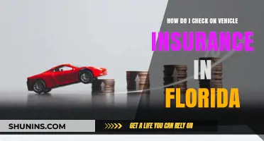 Vehicle Insurance in Florida: How to Check and Be Sure