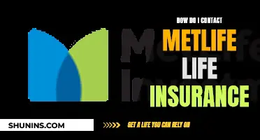 Contacting MetLife: Insurance Claims and Queries