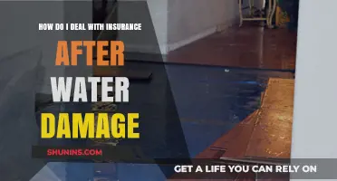 Navigating Water Damage Insurance Claims: A Comprehensive Guide for Homeowners