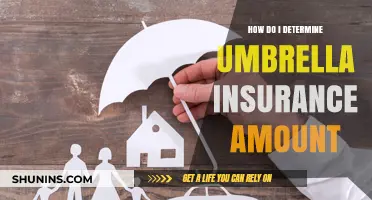Choosing the Right Umbrella Insurance Coverage: A Comprehensive Guide