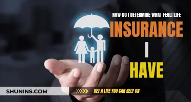 Understanding Your Fegli Life Insurance Coverage