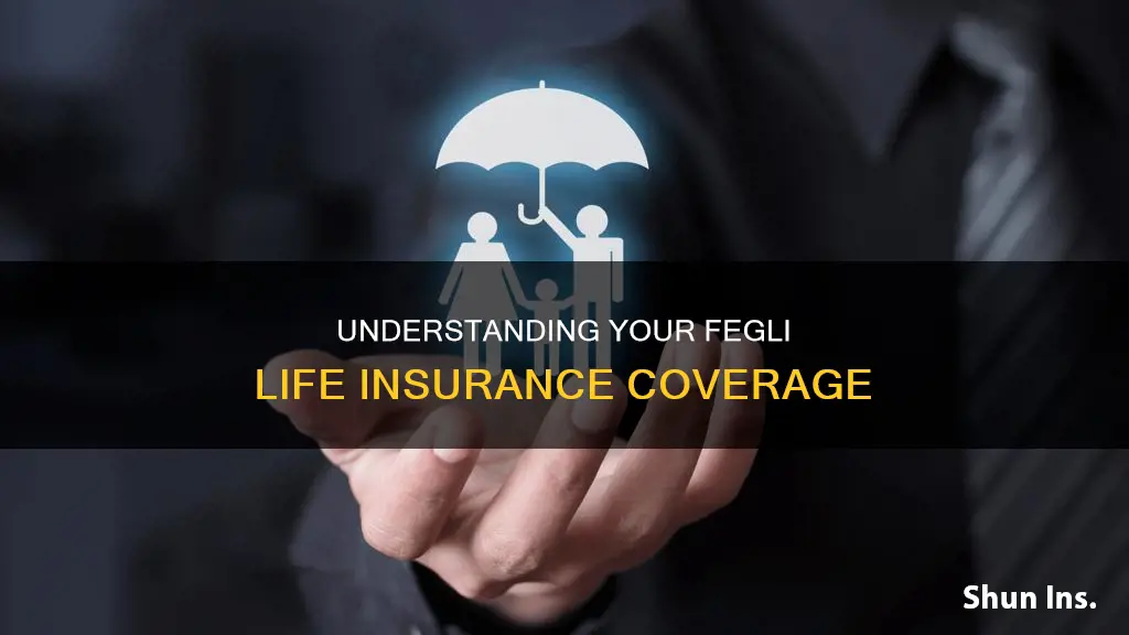 how do I determine what fegli life insurance I have