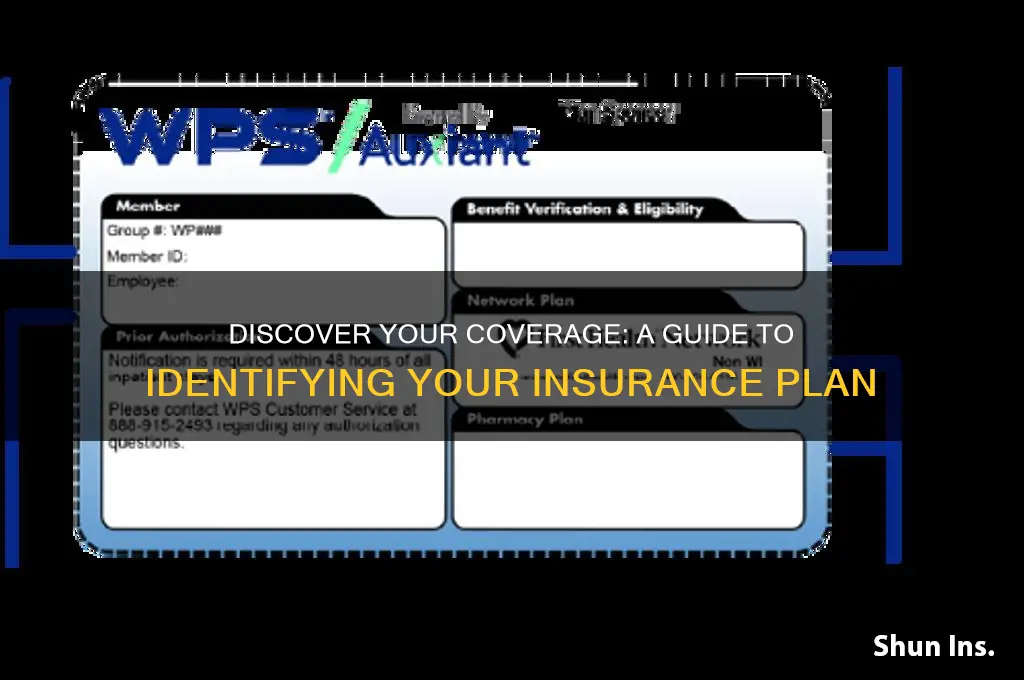 how do i figure out what insurance i have