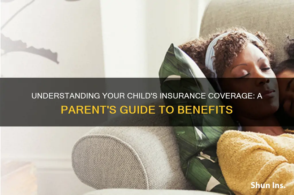 how do i figure out what insurance my kid has