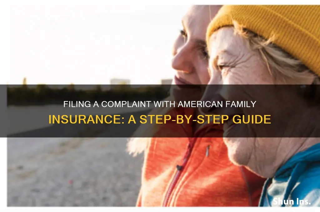 how do i file a complaint with american family insurance