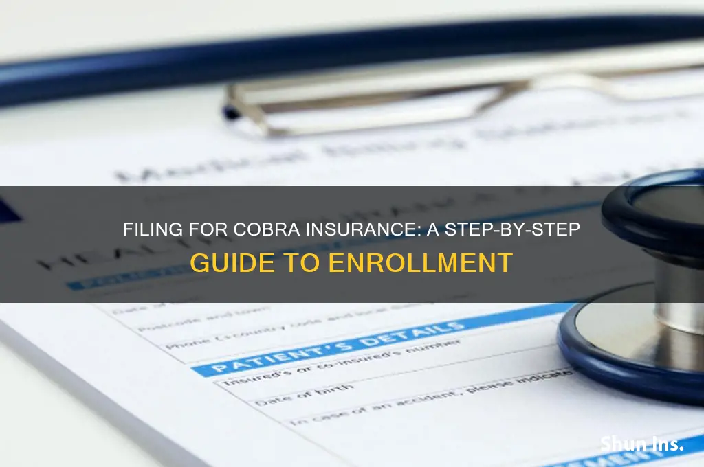 how do i file for cobra insurance