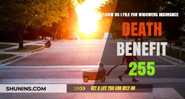 Filing for Widow(er)'s Insurance Death Benefit: A Step-by-Step Guide to Lump-Sum Payment 255