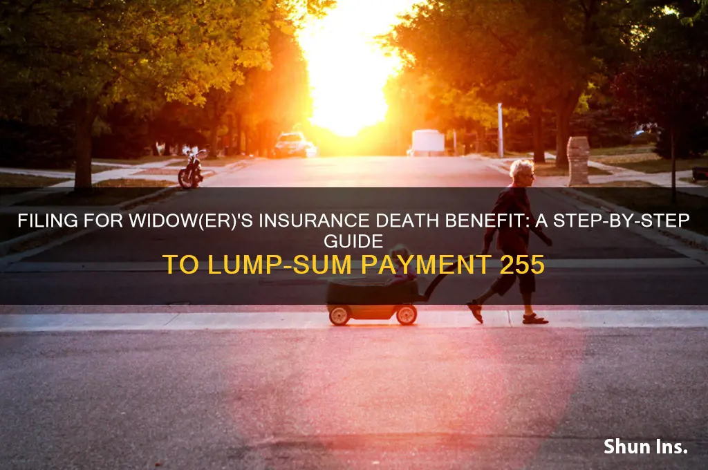 how do i file for widowers insurance death benefit 255