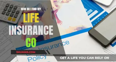 Finding Life Insurance: Locating Your Provider and Coverage