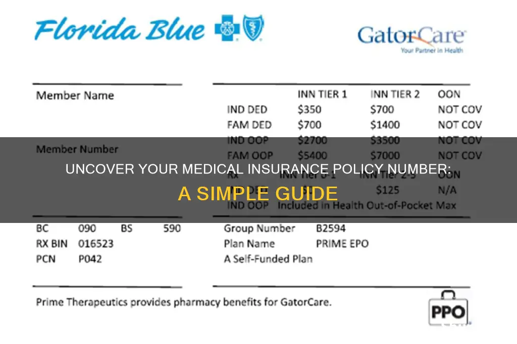 how do I find my medical insurance policy number