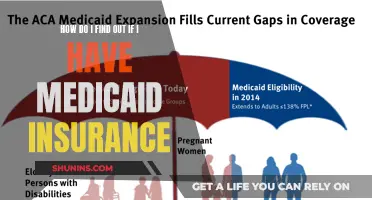 Check Your Medicaid Insurance Status: A Step-by-Step Guide