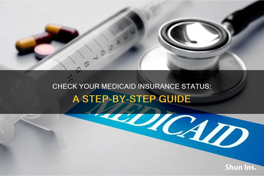how do I find out if I have medicaid insurance