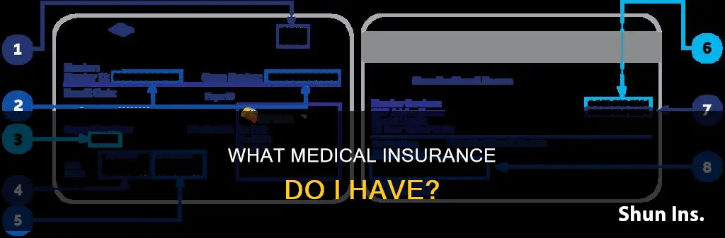 how do I find out what medical insurance I have