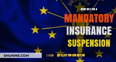 Fixing Mandatory Insurance Suspension: A Step-by-Step Guide to Reinstatement