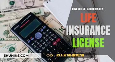 Obtaining a Non-Resident Life Insurance License: A Comprehensive Guide