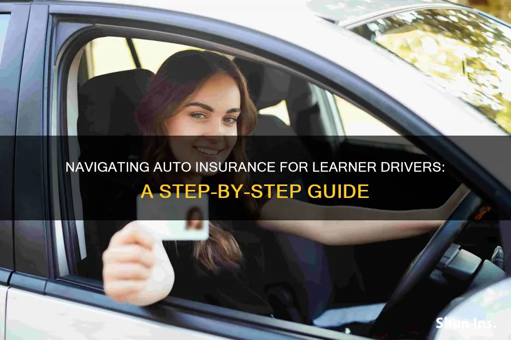 how do I get auto insurance with a learners permit