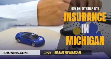 Finding Affordable Auto Insurance in Michigan: A Guide