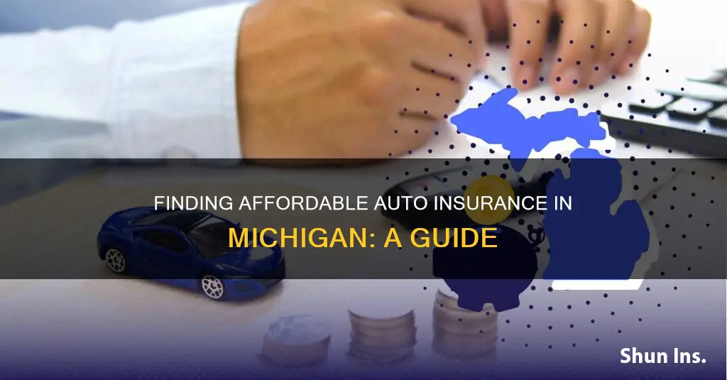 how do I get cheap auto insurance in Michigan