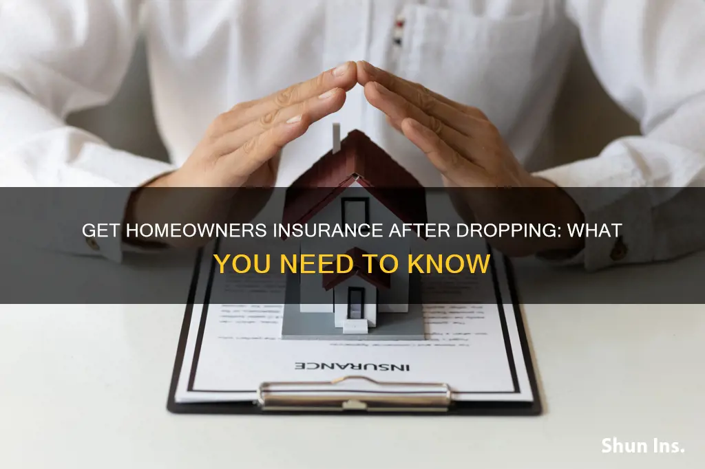 how do I get homeowners insurance after dropping