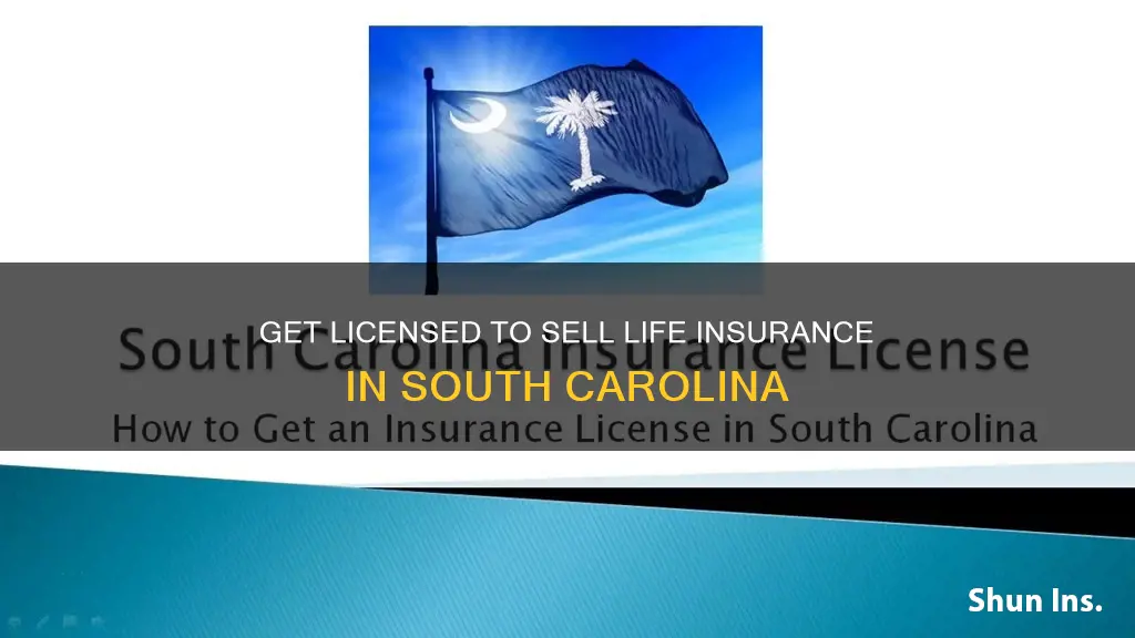 how do I get licensed in sc for life insurance