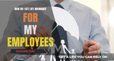 Life Insurance for Employees: What's the Best Option?